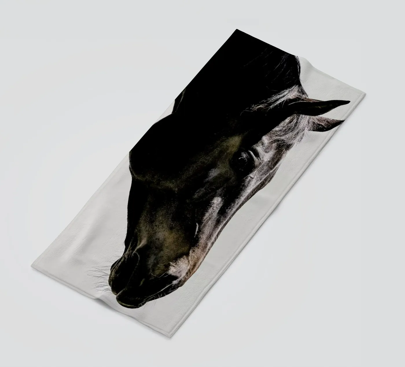 Bingo telo mare da Shot By Clint