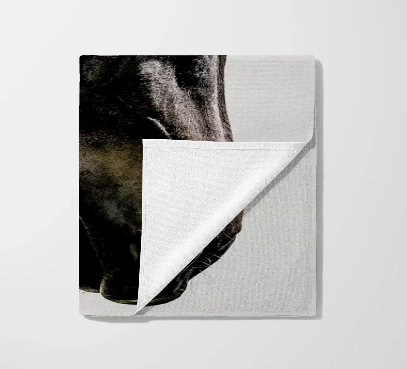 Bingo telo mare da Shot By Clint