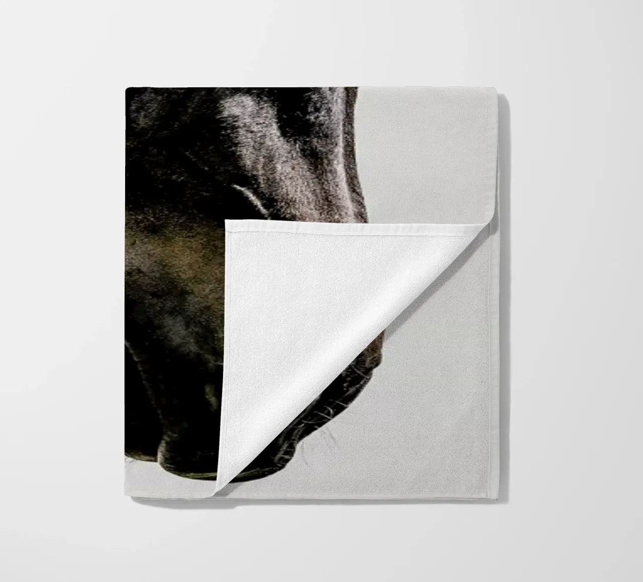 Bingo telo mare da Shot By Clint