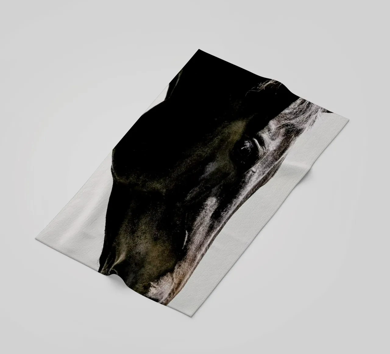 Bingo telo mare da Shot By Clint