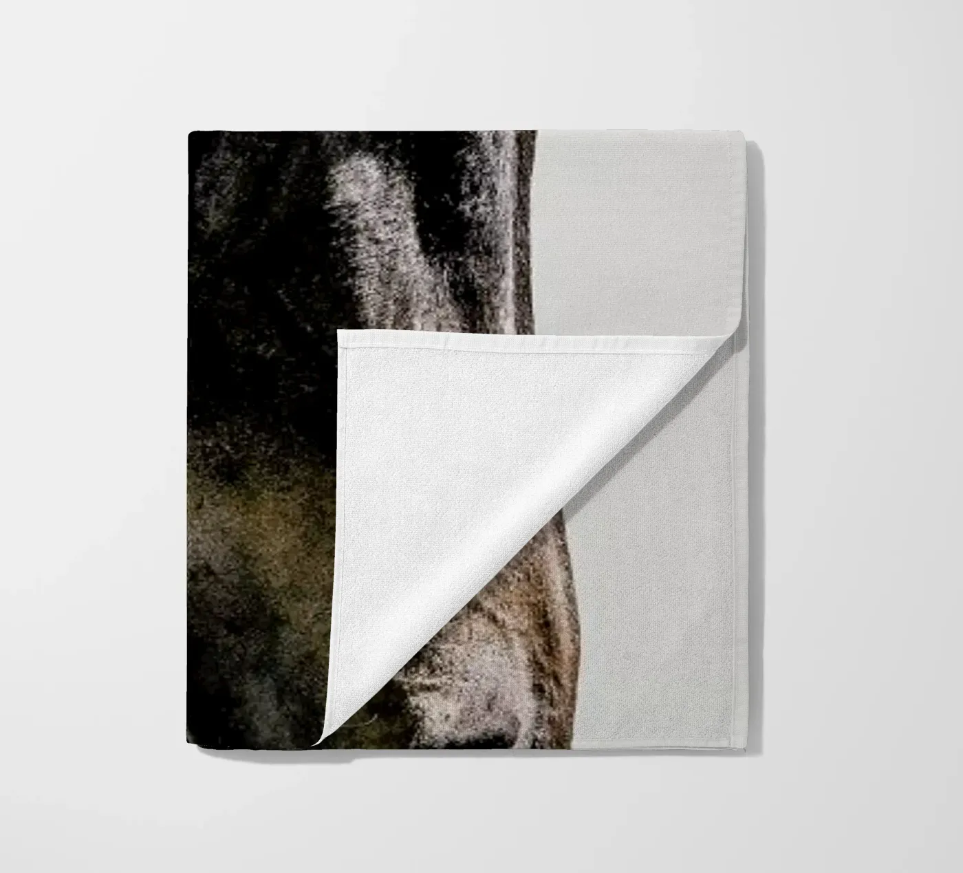 Bingo telo mare da Shot By Clint