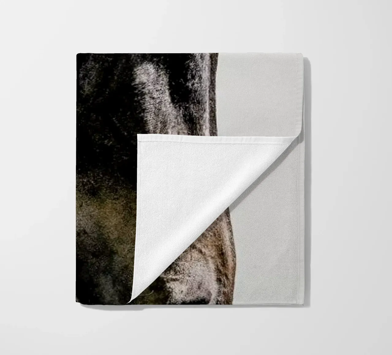 Bingo telo mare da Shot By Clint