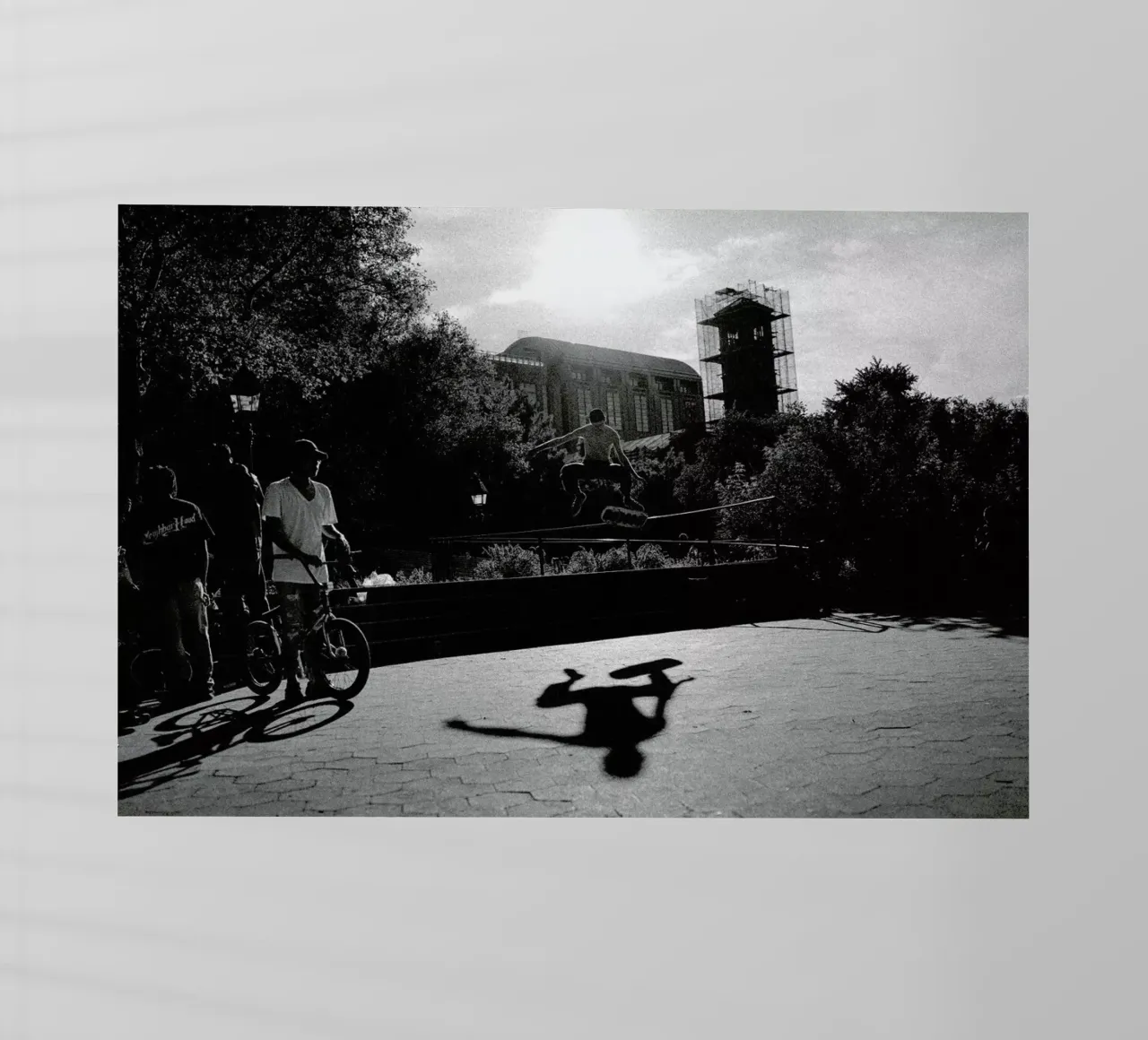 Monkey pellicola backlit da Philipp Reinhard