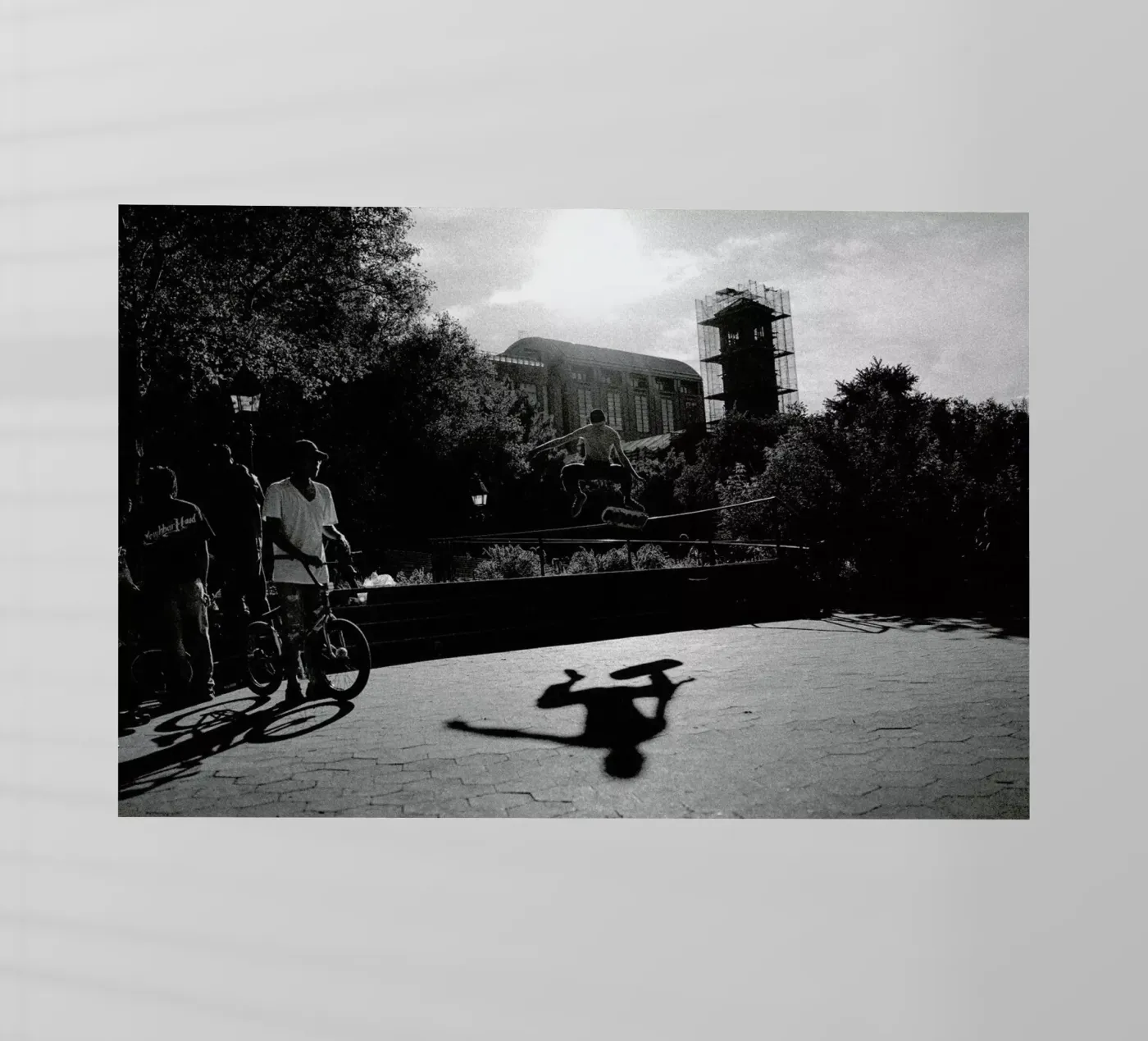 Monkey Backlit Folie von Philipp Reinhard