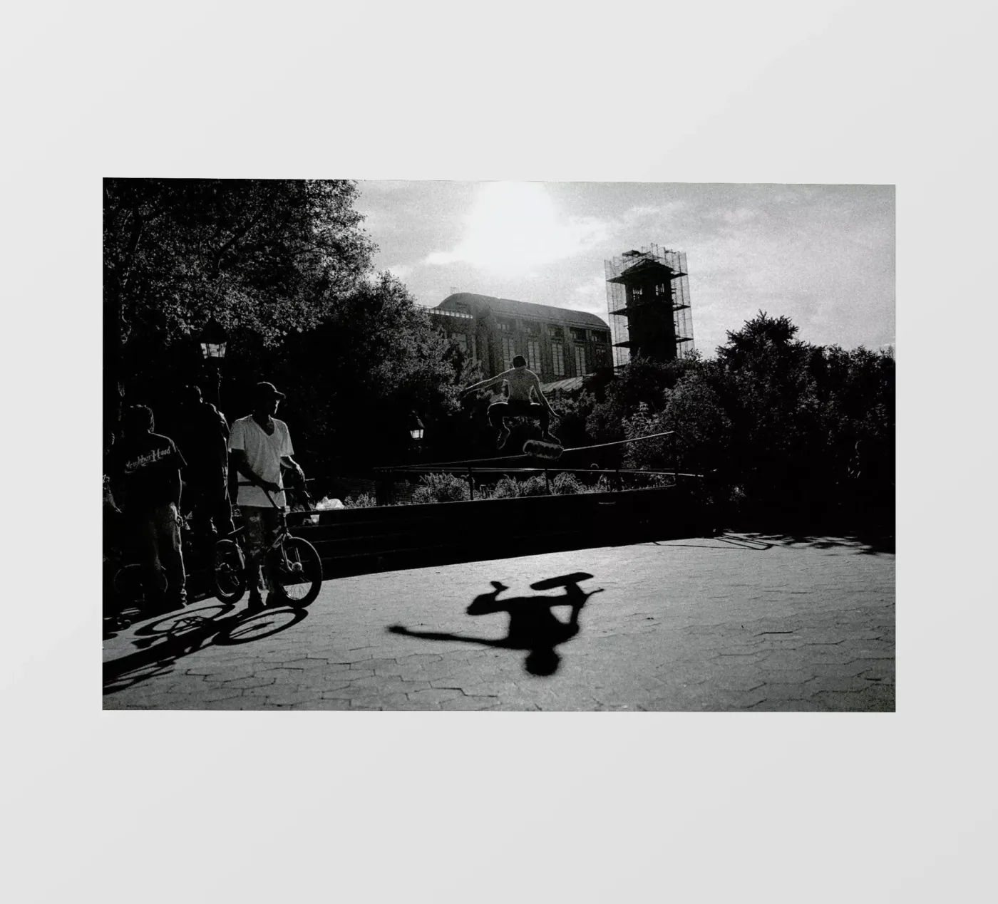 Monkey Backlit Folie von Philipp Reinhard