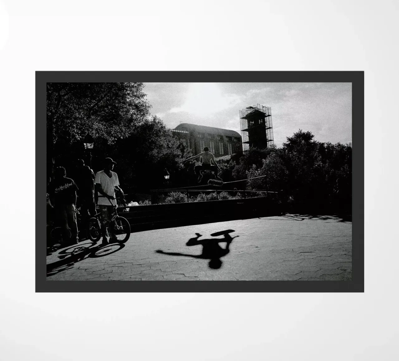 Monkey zerbino da Philipp Reinhard