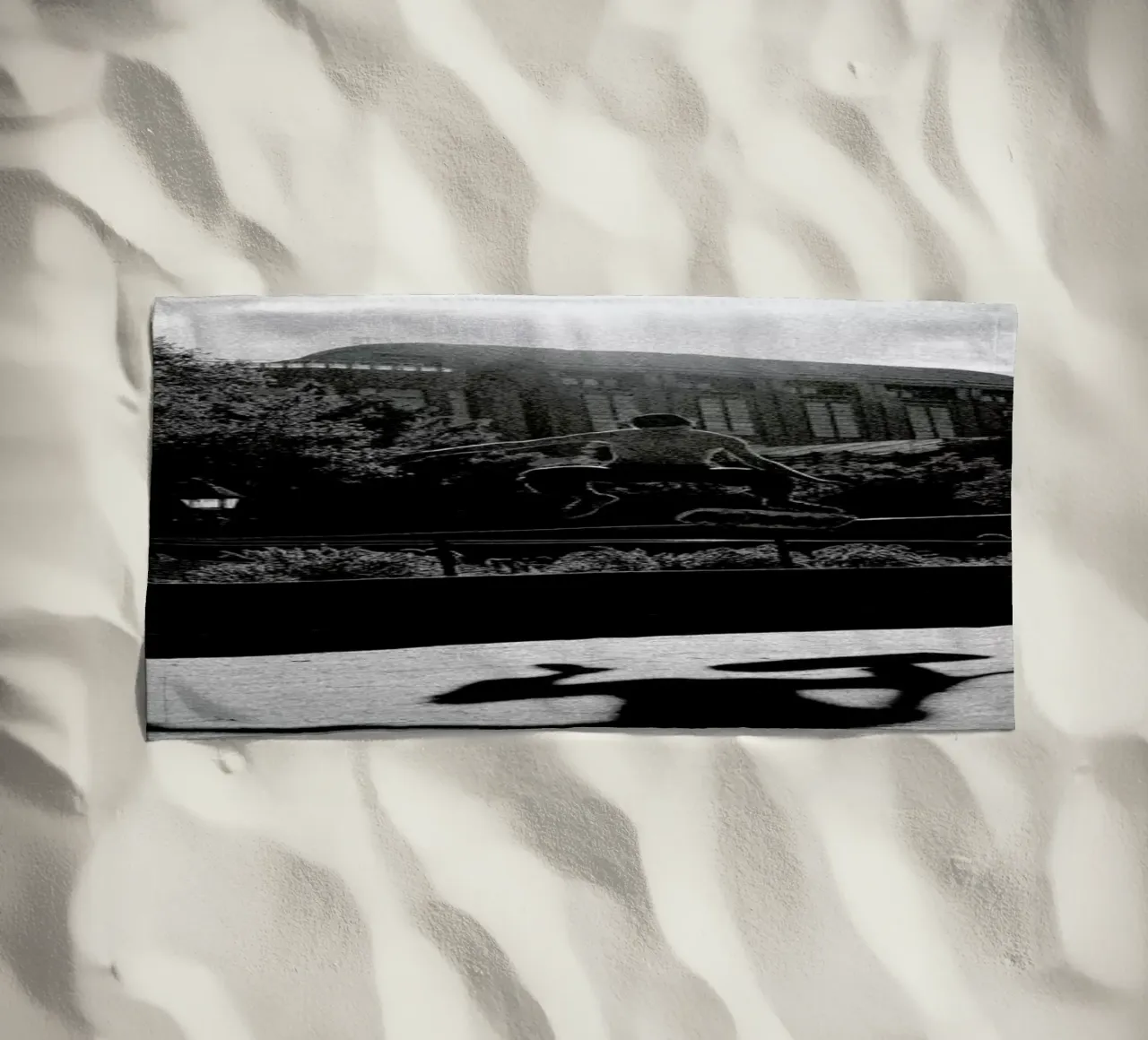 Monkey telo mare da Philipp Reinhard