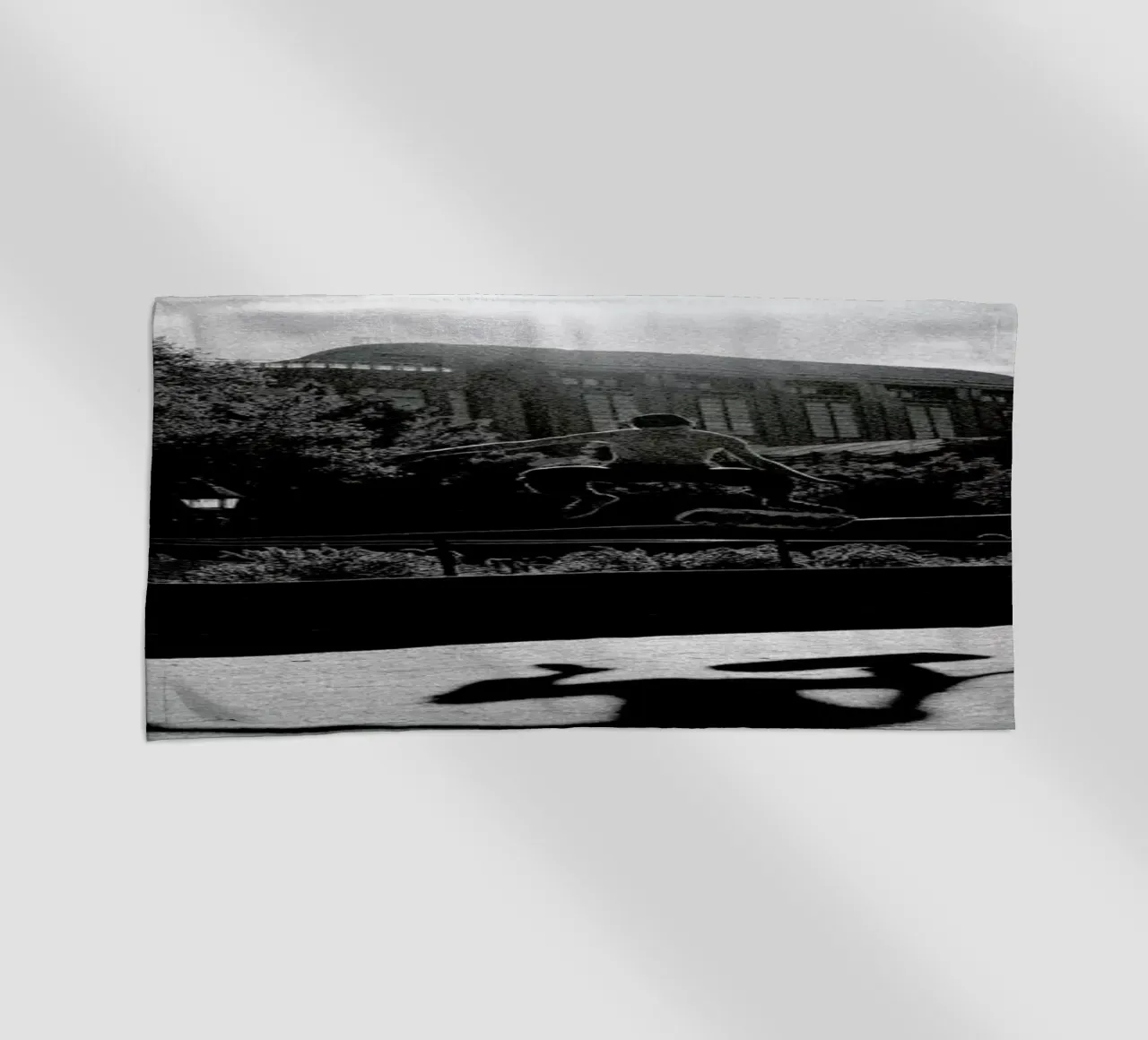 Monkey telo mare da Philipp Reinhard