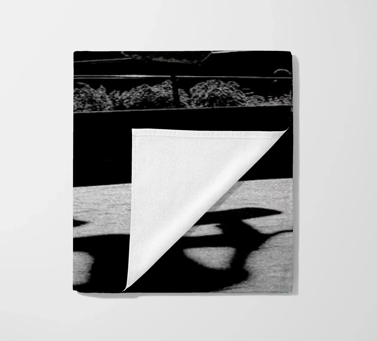 Monkey telo mare da Philipp Reinhard