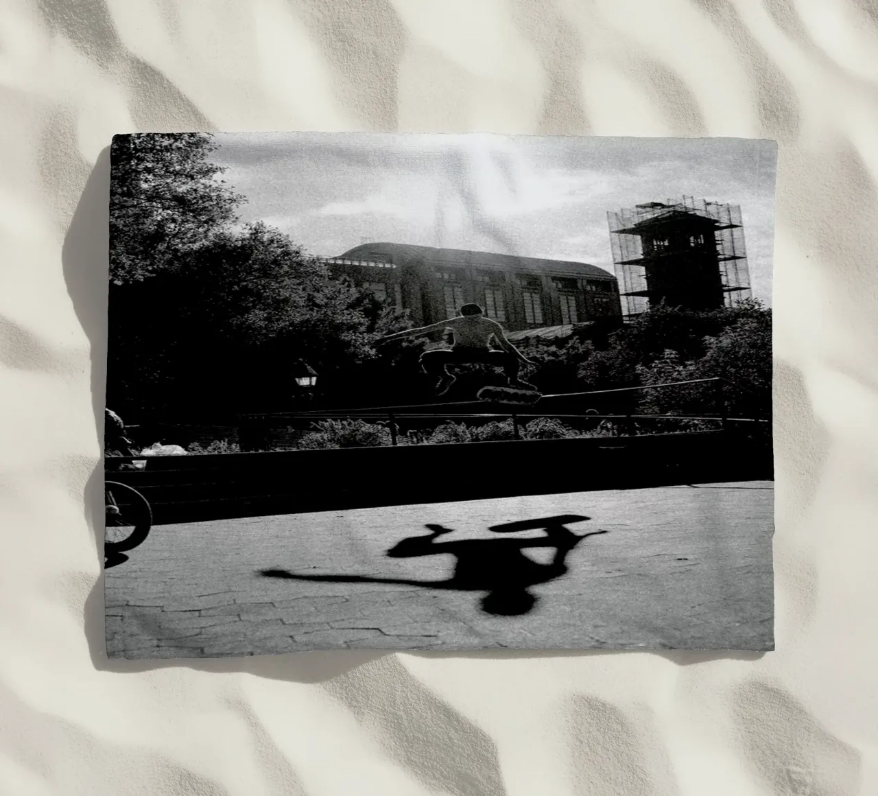 Monkey telo mare da Philipp Reinhard