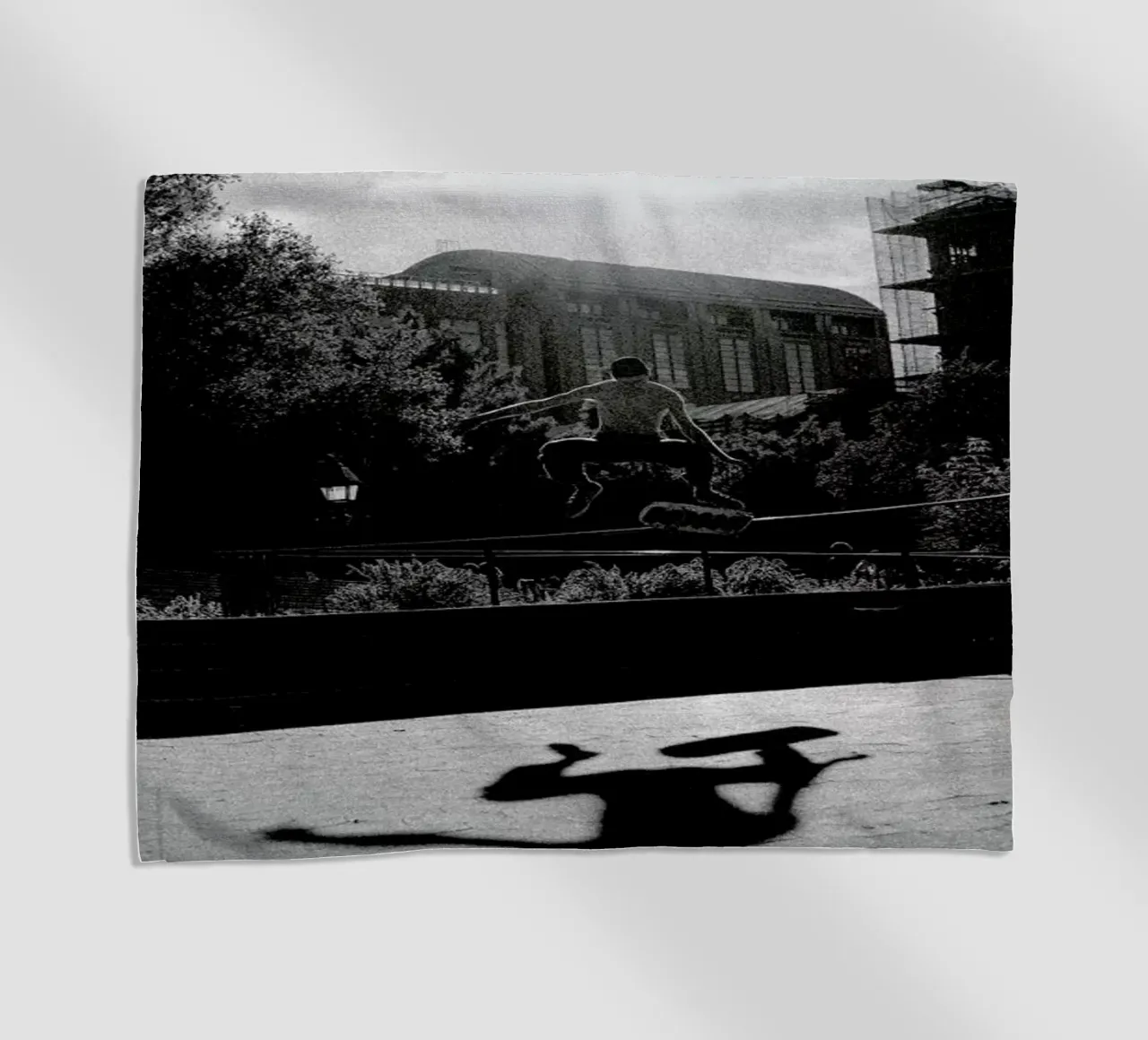 Monkey telo mare da Philipp Reinhard