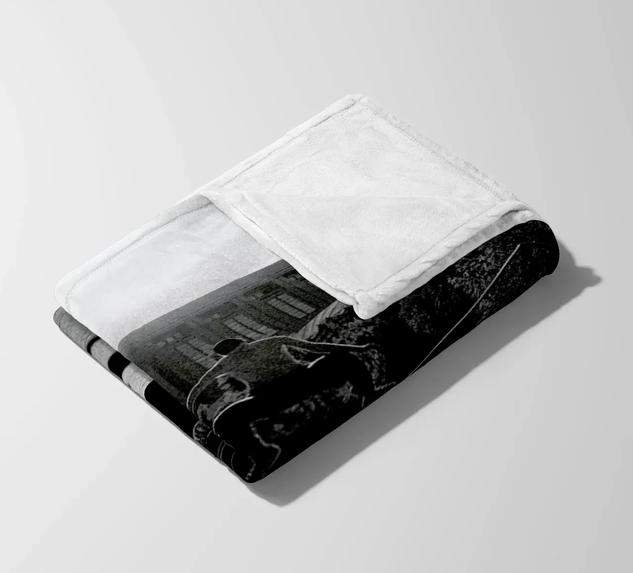 Monkey coperta in pile da Philipp Reinhard