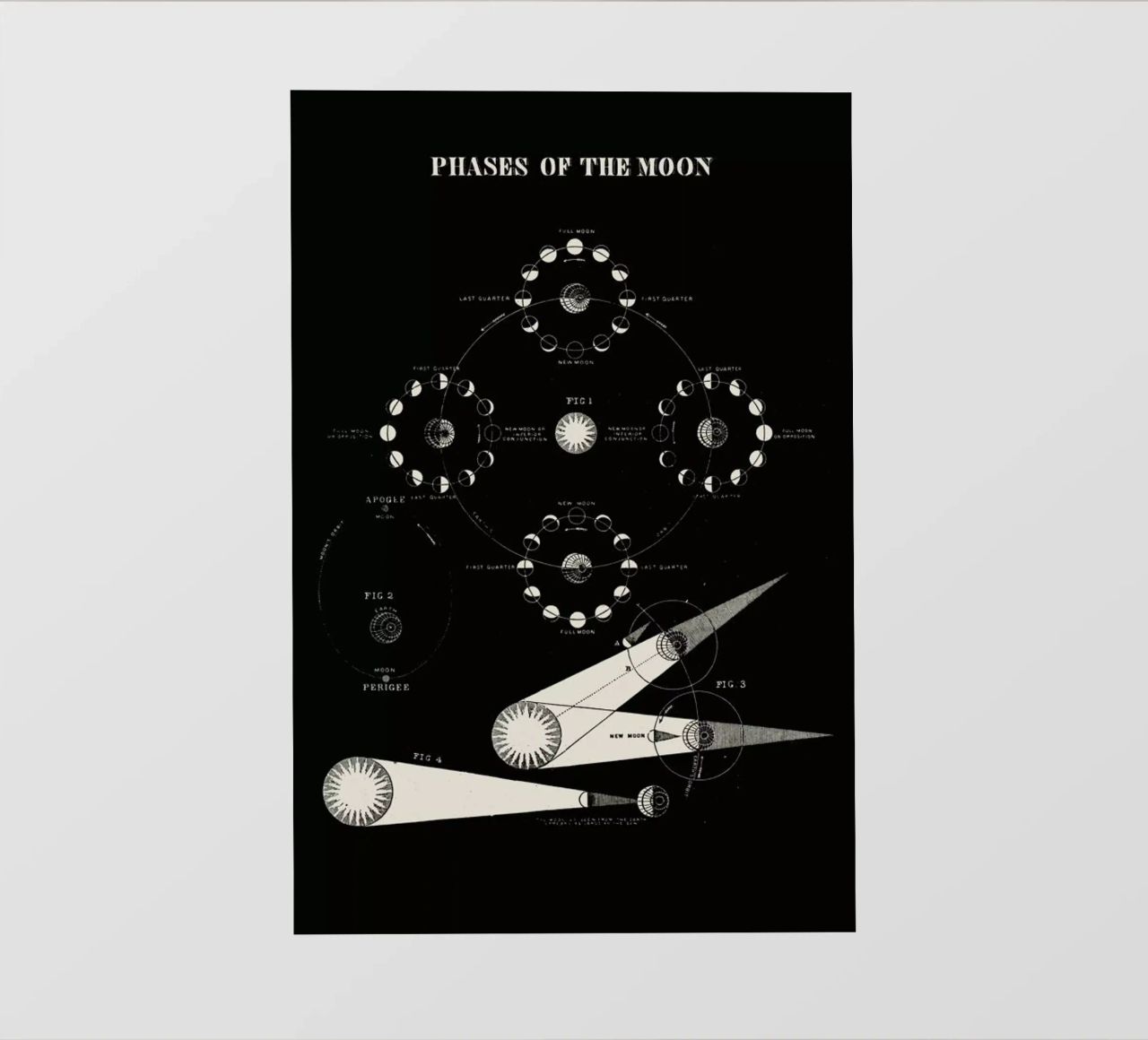 Phases Of The Moon telo in pvc da Astër