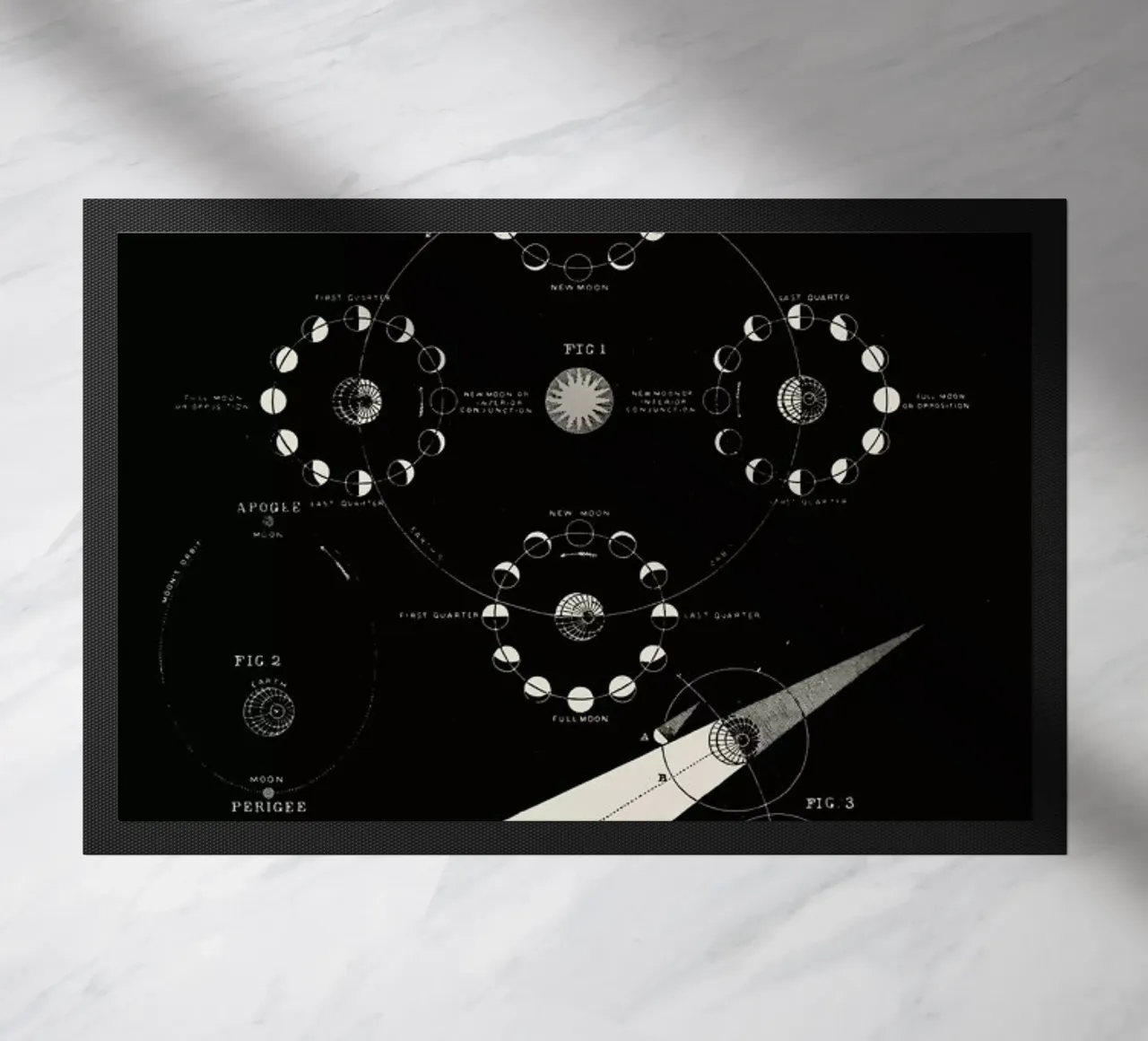 Phases Of The Moon zerbino da Astër