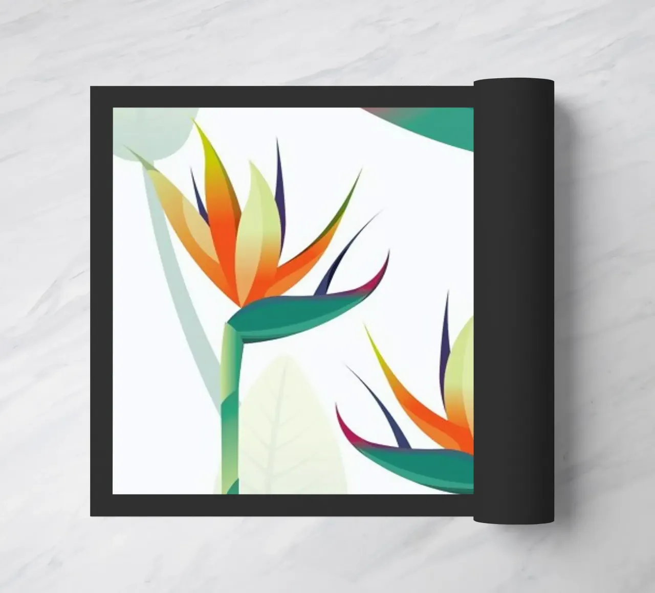 Strelitzia zerbino da Sabrina Ziegenhorn