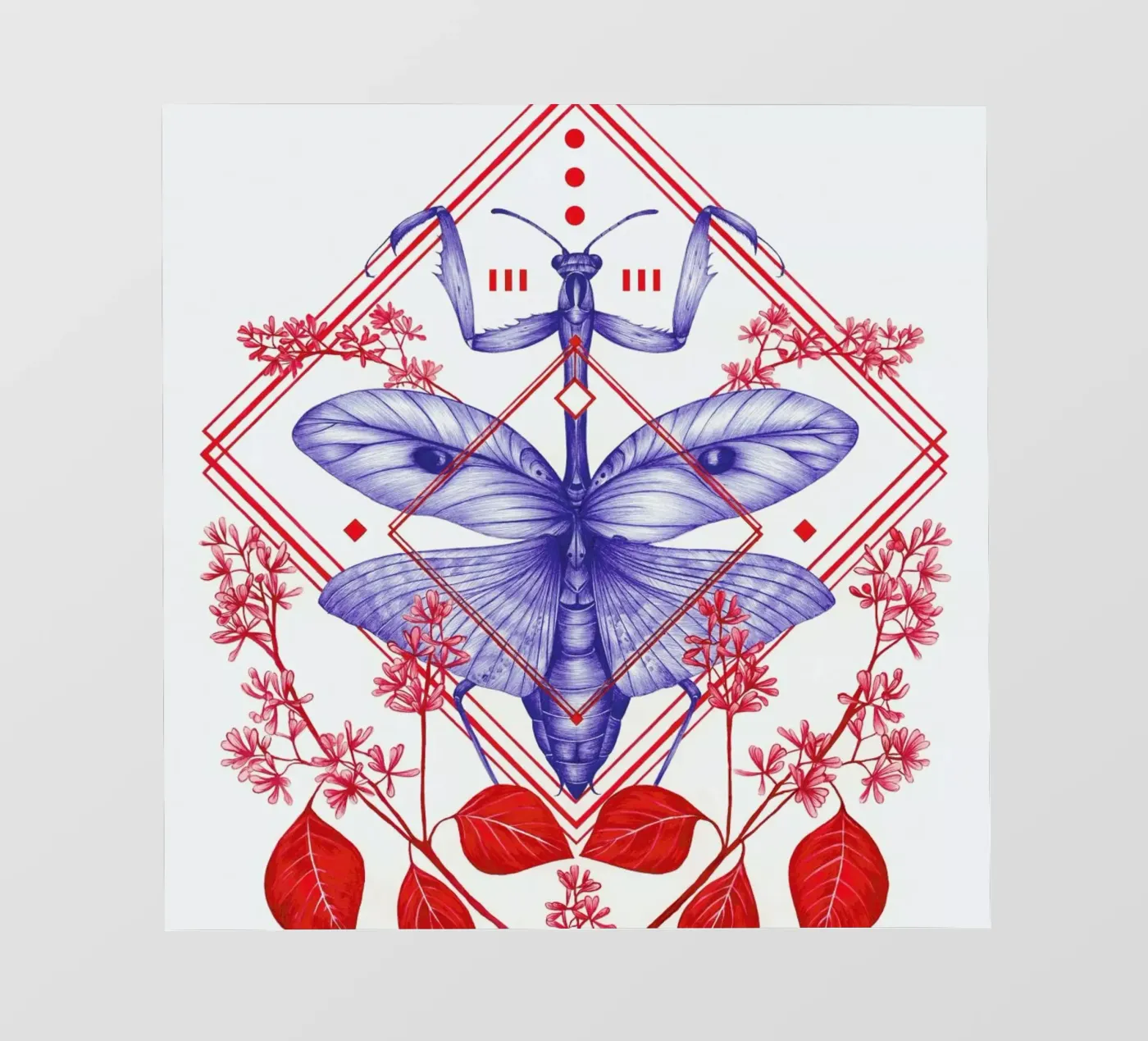 Evolution 3 pvc cover by The White Deer