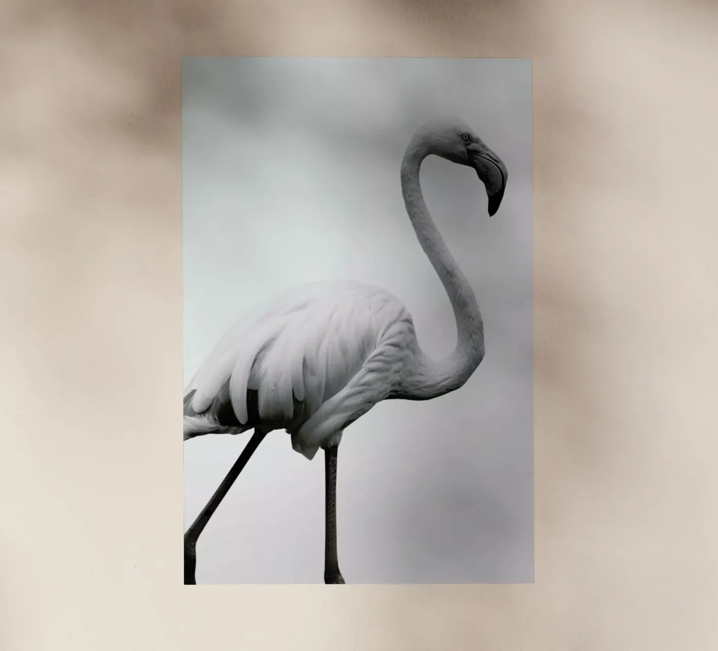 Dancer backlit folie van Shot By Clint