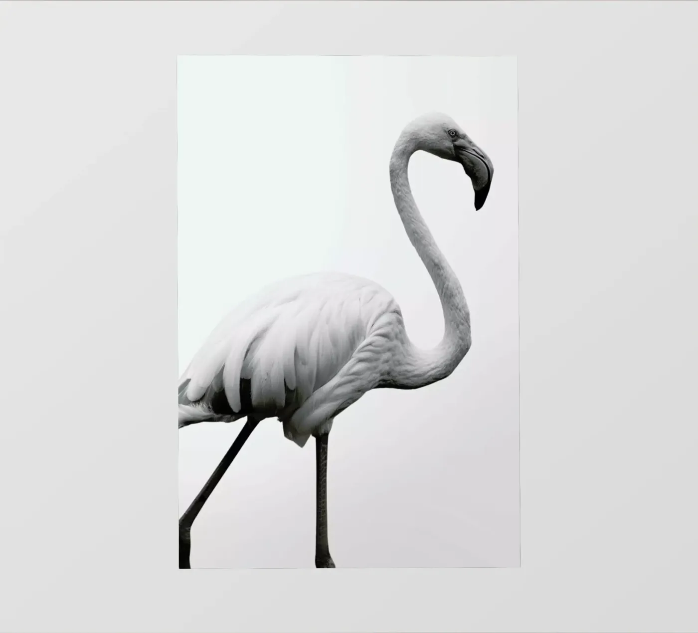 Dancer backlit folie van Shot By Clint