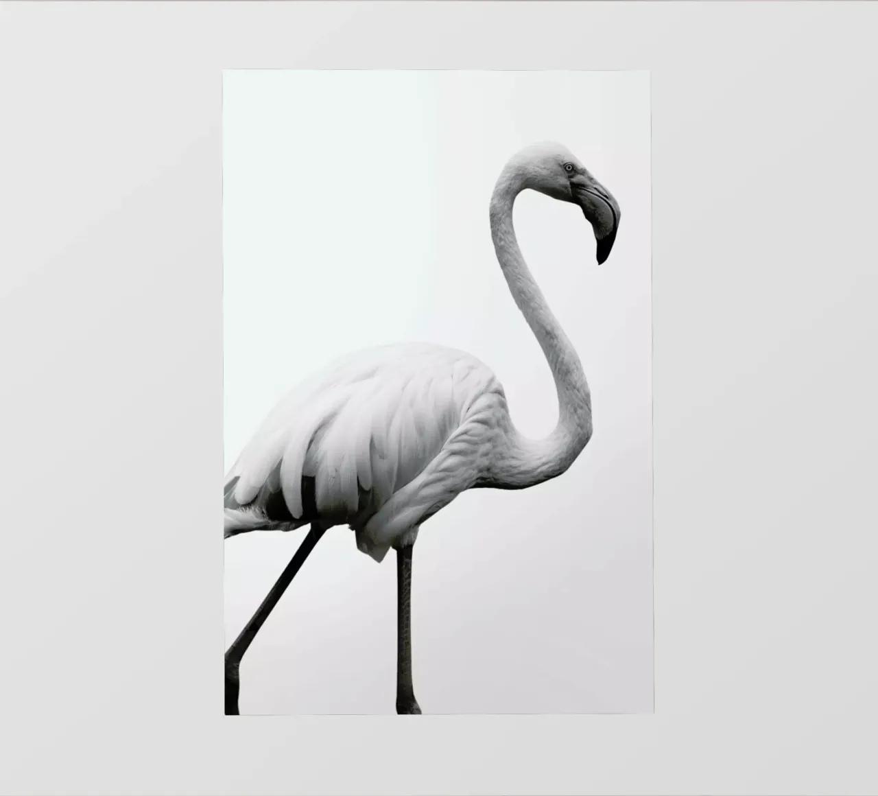 Dancer pellicola backlit da Shot By Clint