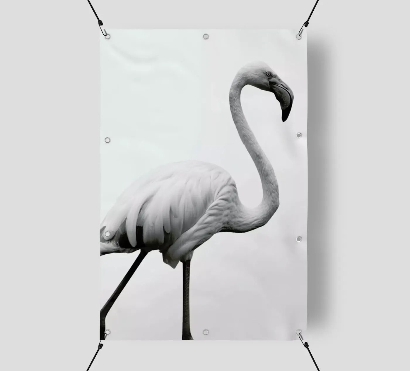 Dancer PVC Plane von Shot By Clint