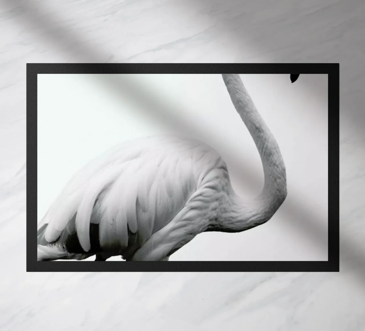 Dancer zerbino da Shot By Clint