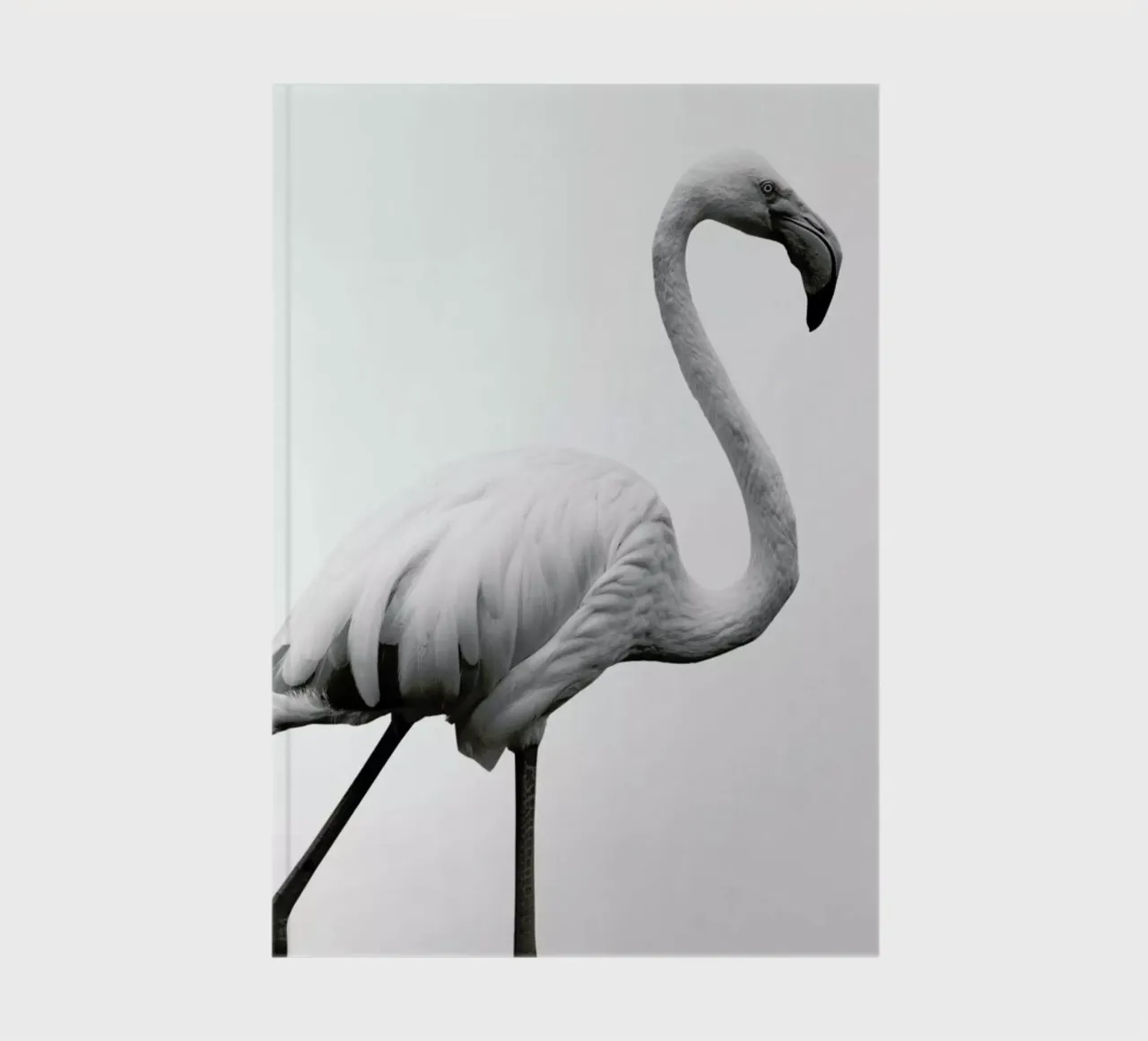 Dancer notebook by Shot By Clint