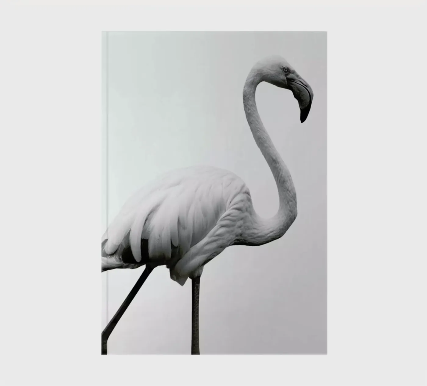 Dancer notebook by Shot By Clint