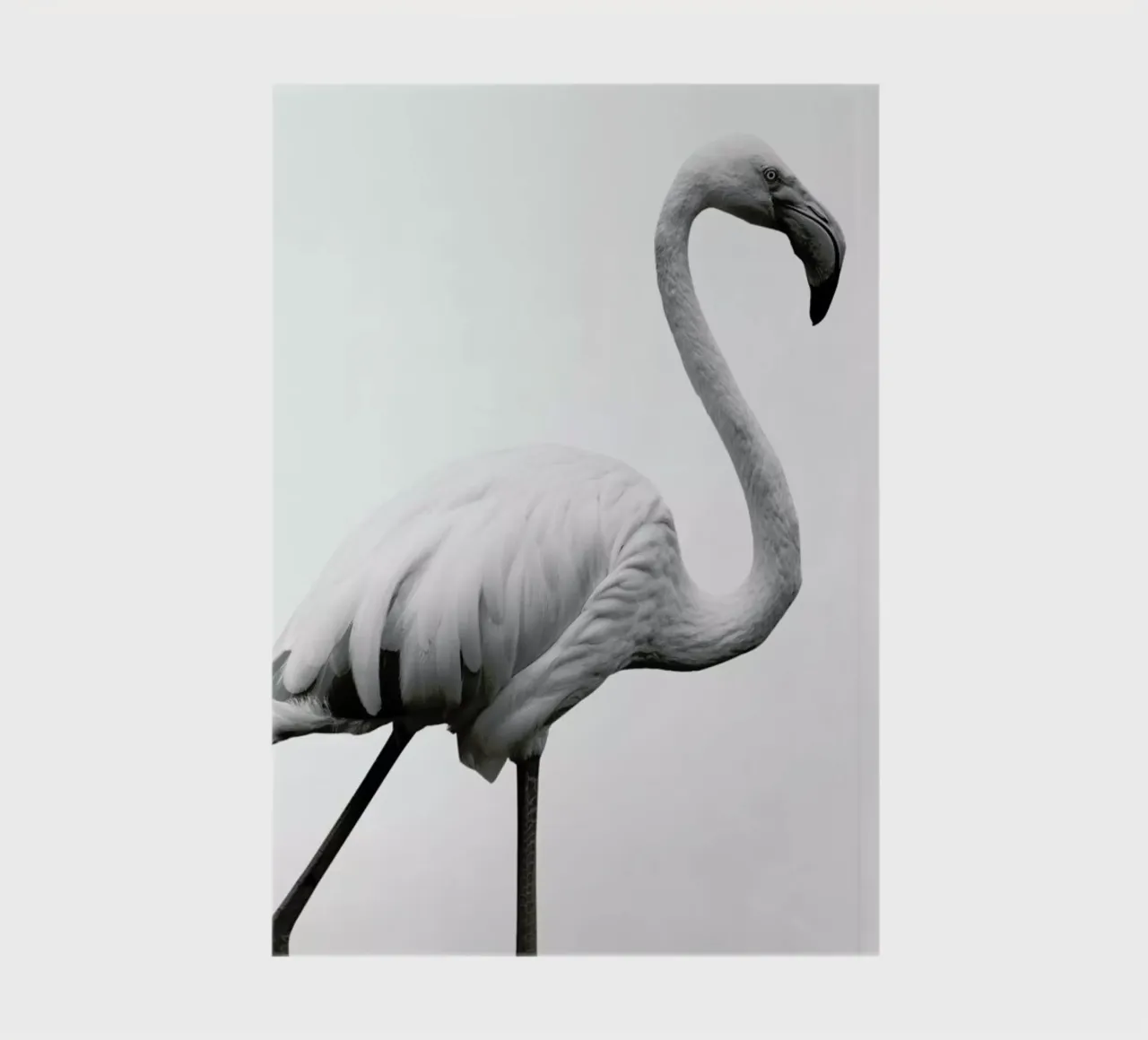 Dancer notebook by Shot By Clint