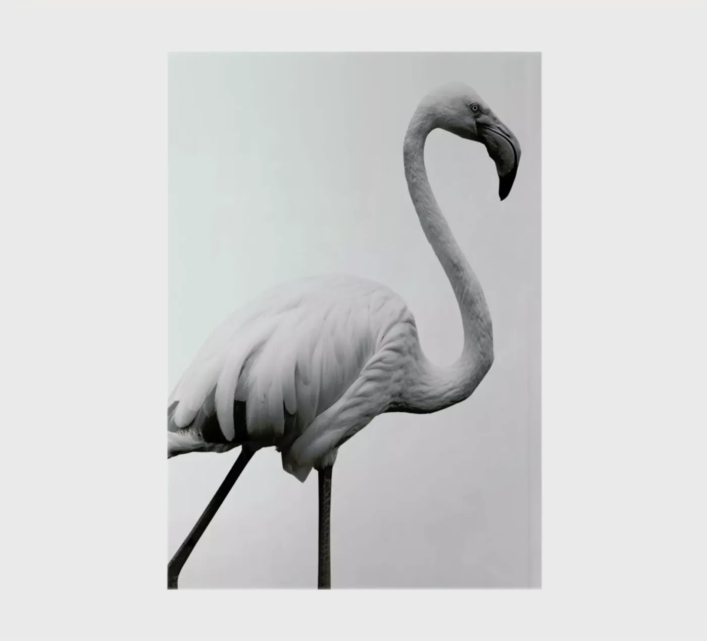 Dancer Notizbuch von Shot By Clint