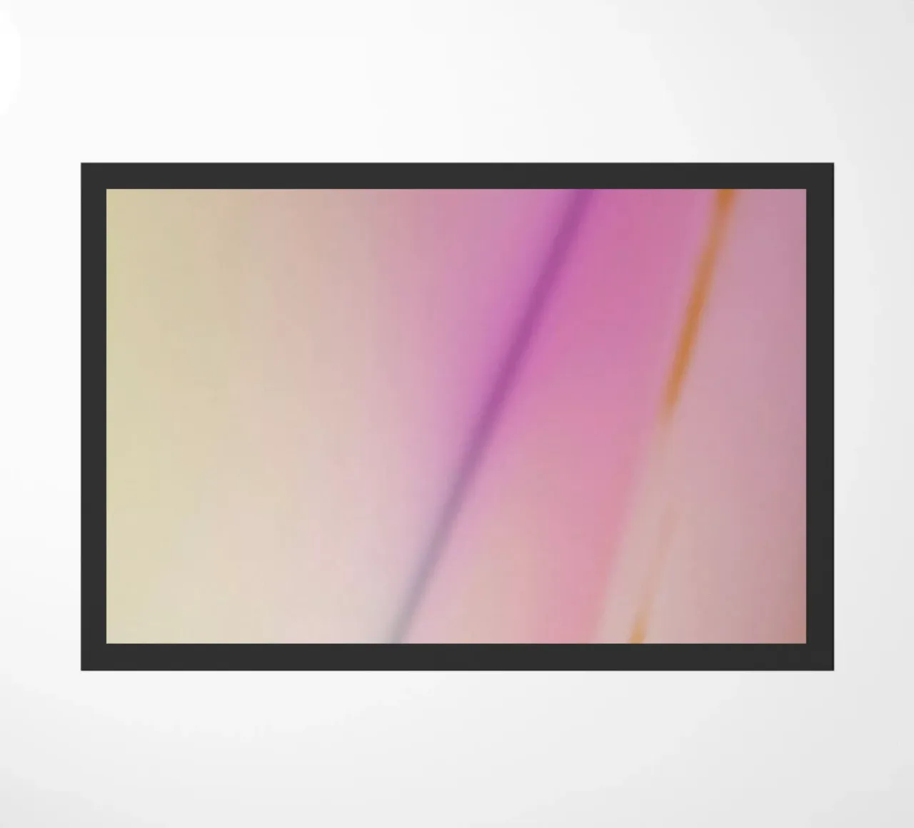 Phoebe zerbino da Elena Veronese