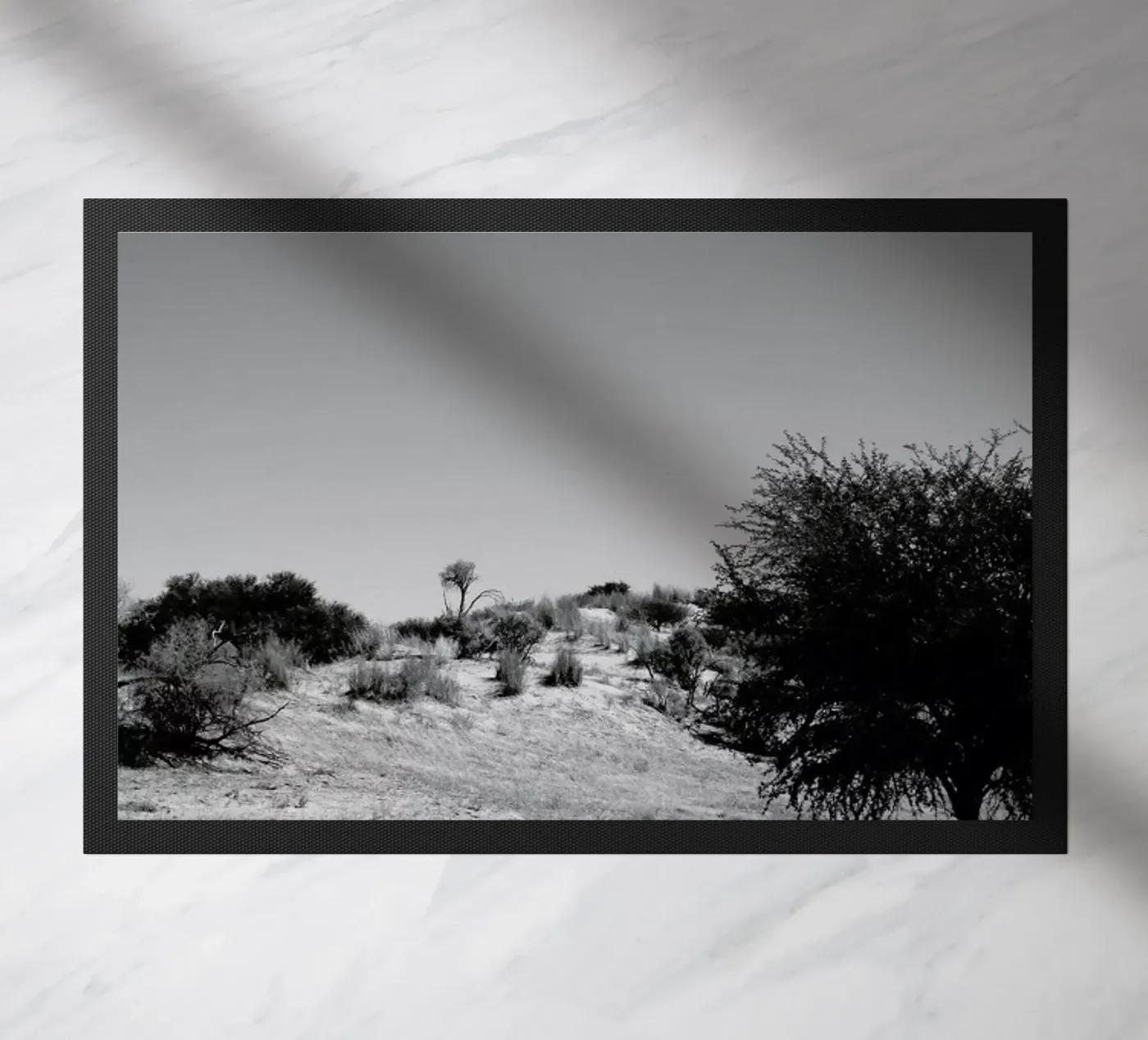 Loner zerbino da Shot By Clint