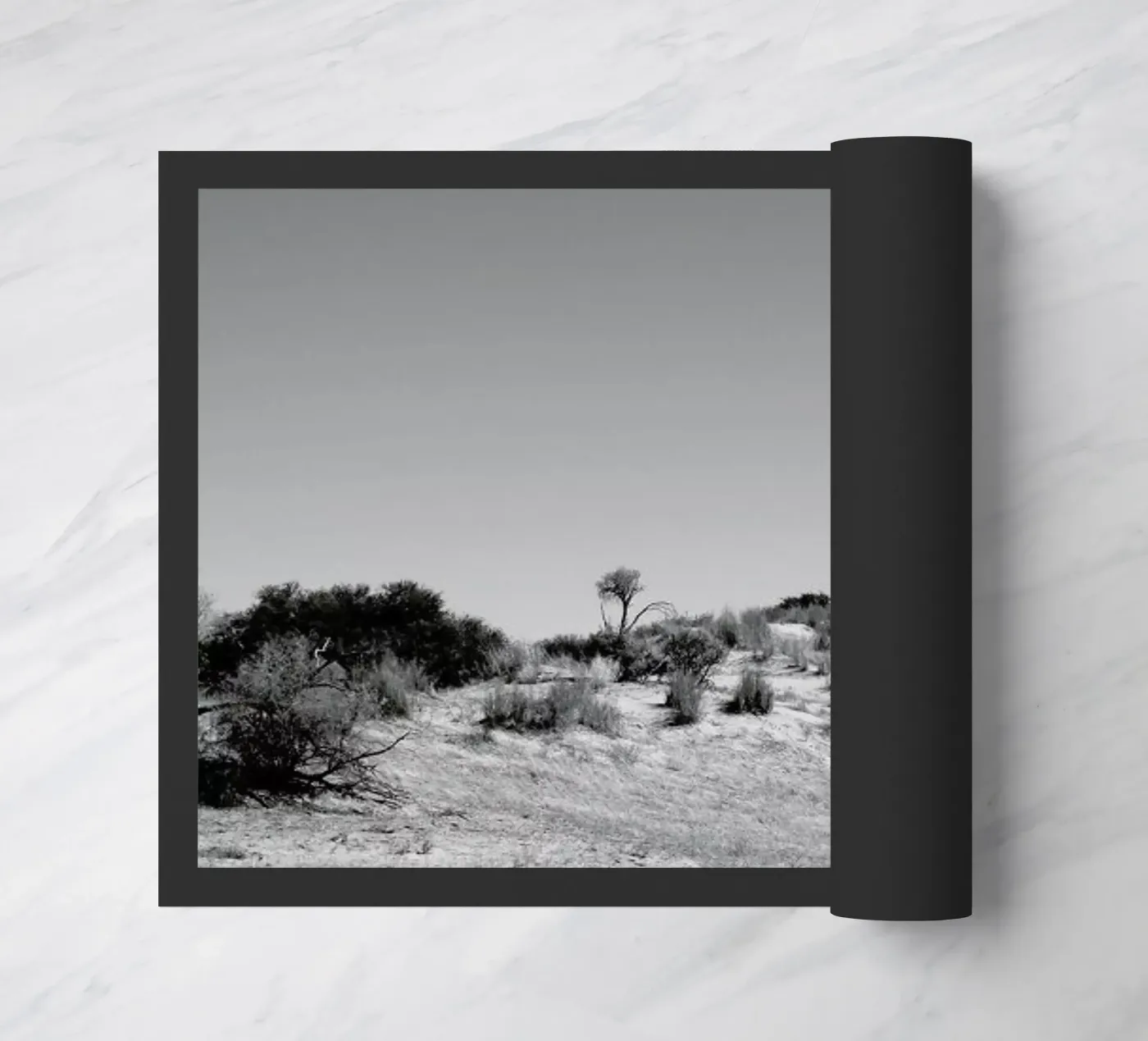 Loner zerbino da Shot By Clint