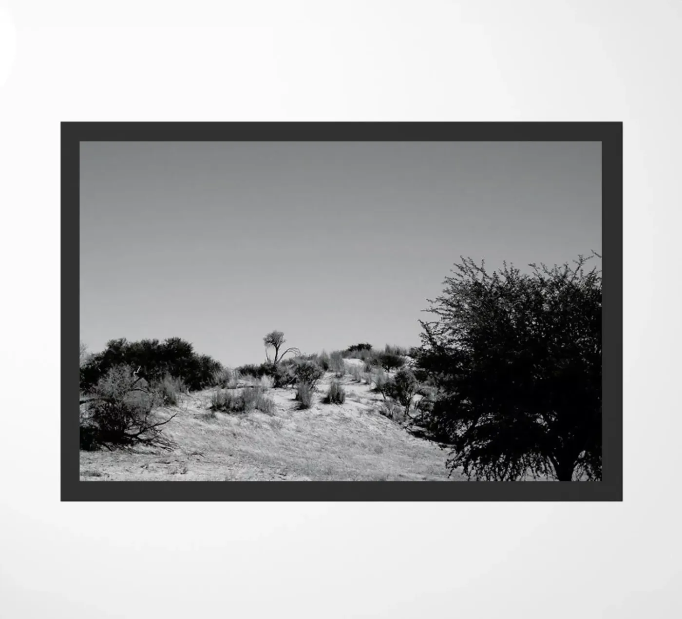 Loner zerbino da Shot By Clint