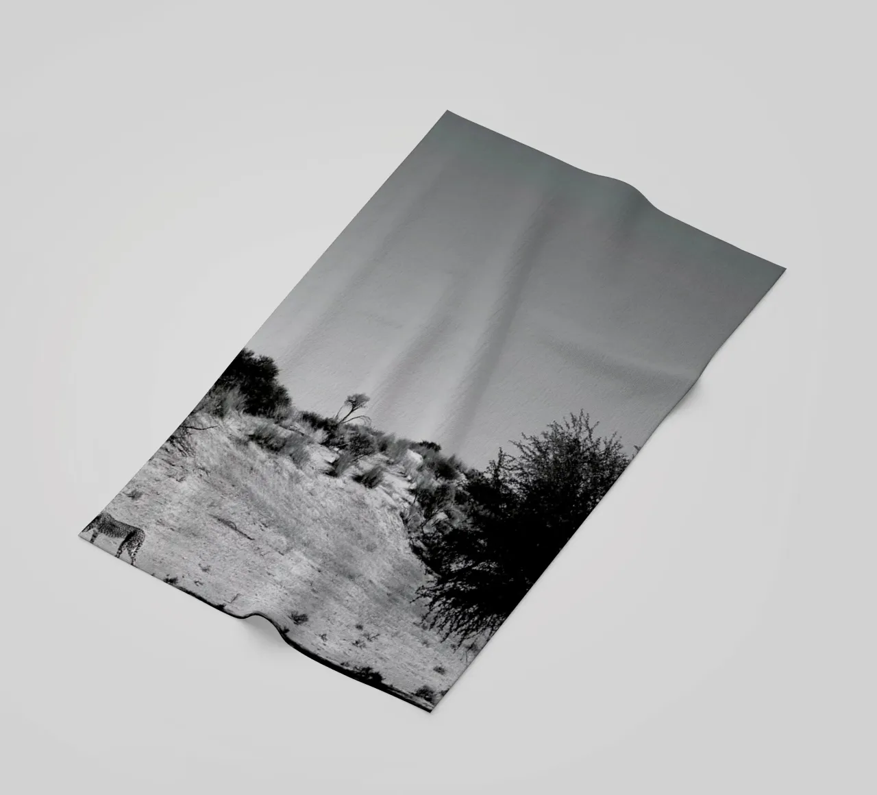 Loner telo mare da Shot By Clint