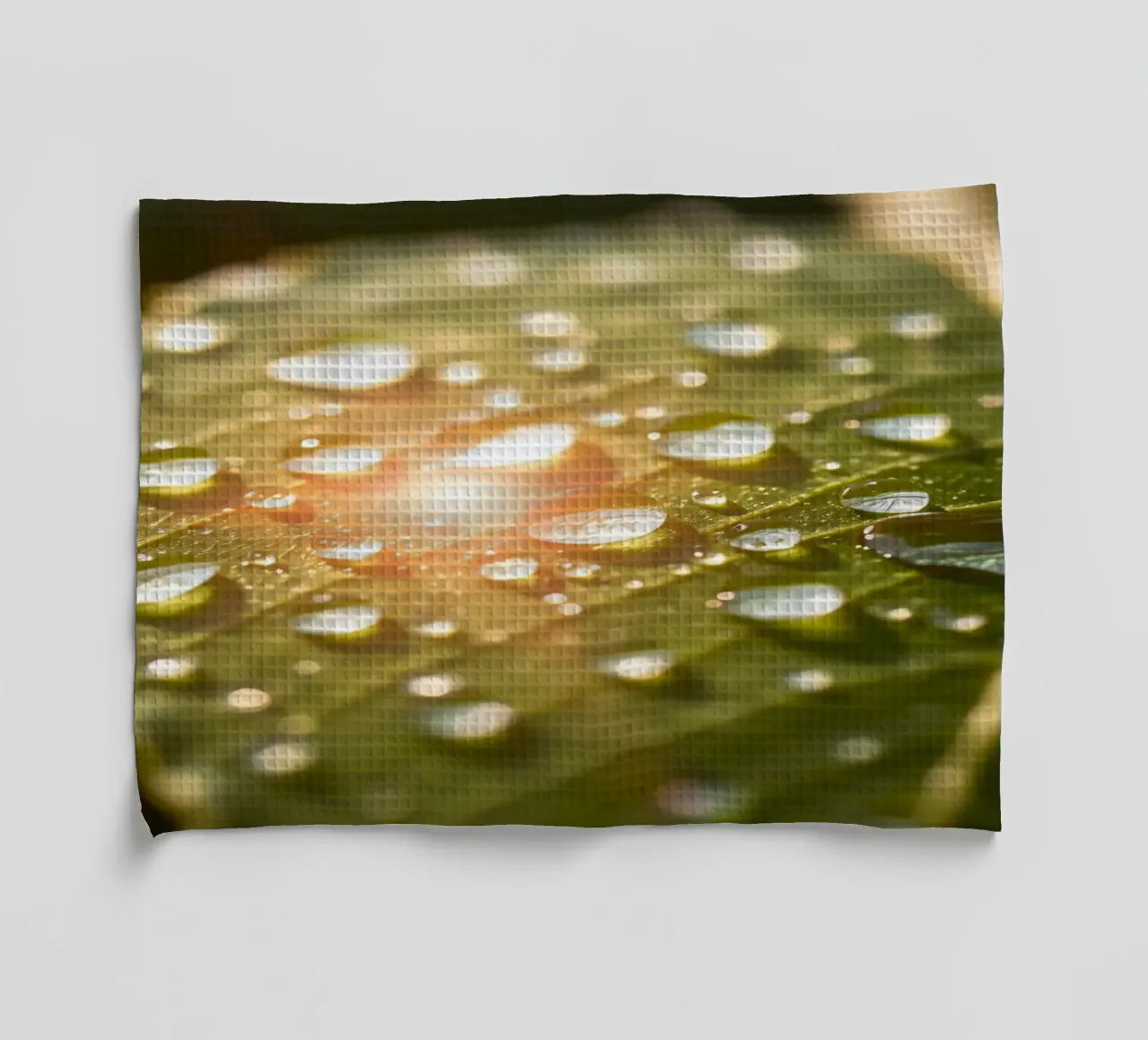 La rugiada mattutina luccica su una foglia verde mentre la luce del sole si infrange canovaccio da cucina da DesignDoodle