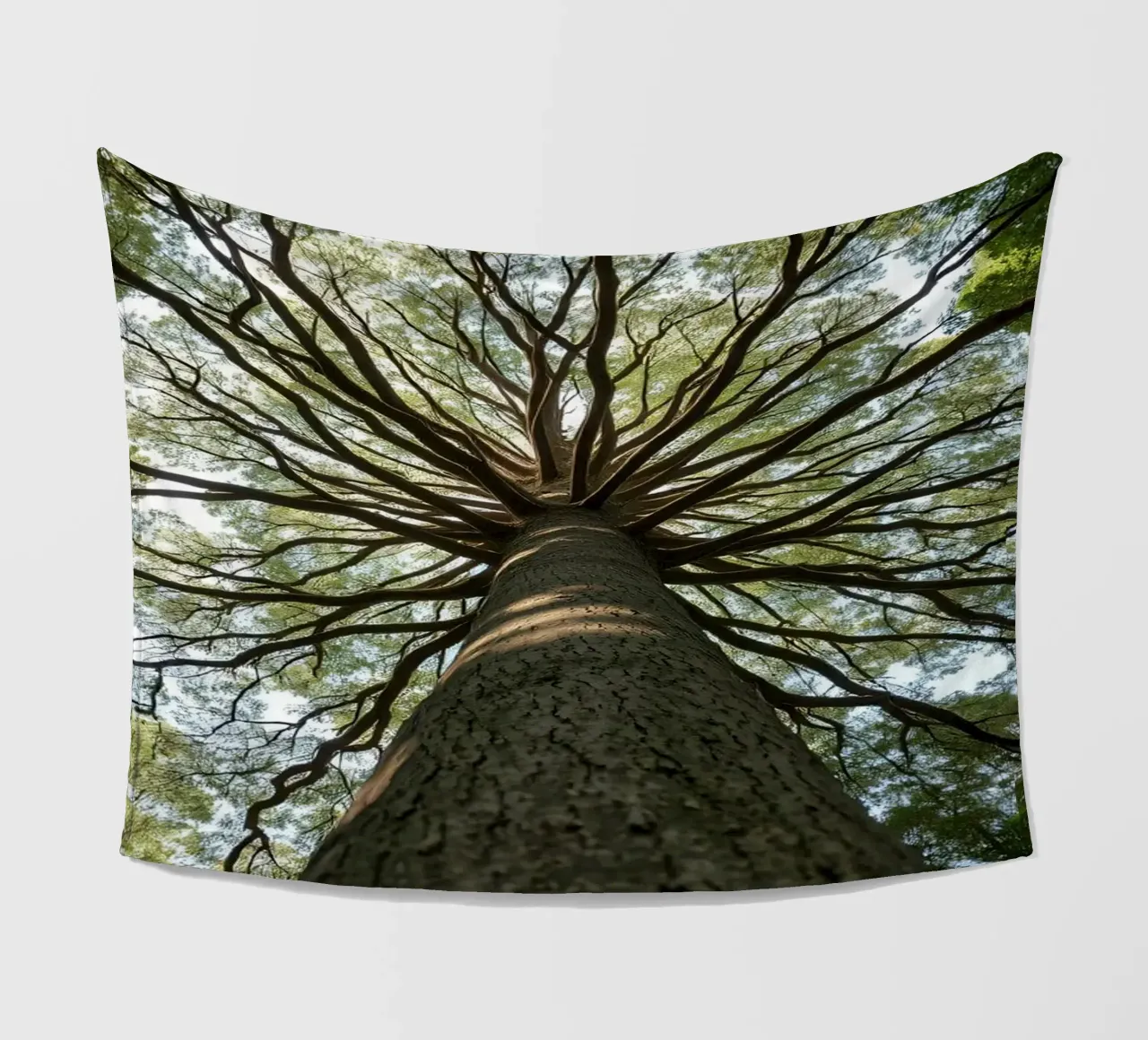 Un albero maestoso che sovrasta la foresta con i suoi rami coperta in pile da DesignDoodle