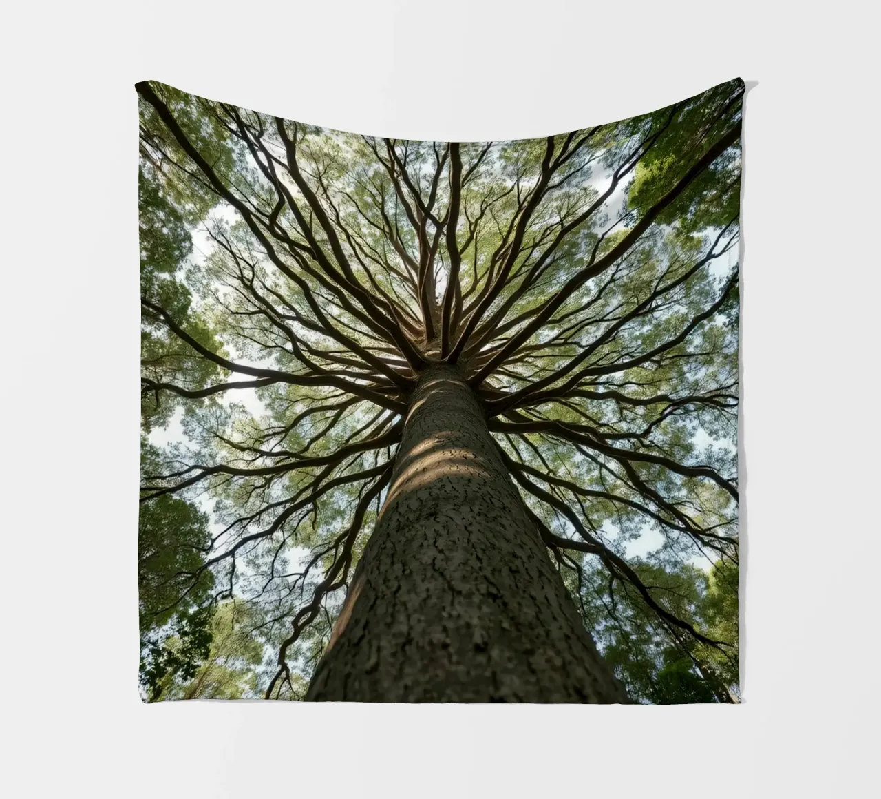 Un albero maestoso che sovrasta la foresta con i suoi rami coperta in pile da DesignDoodle