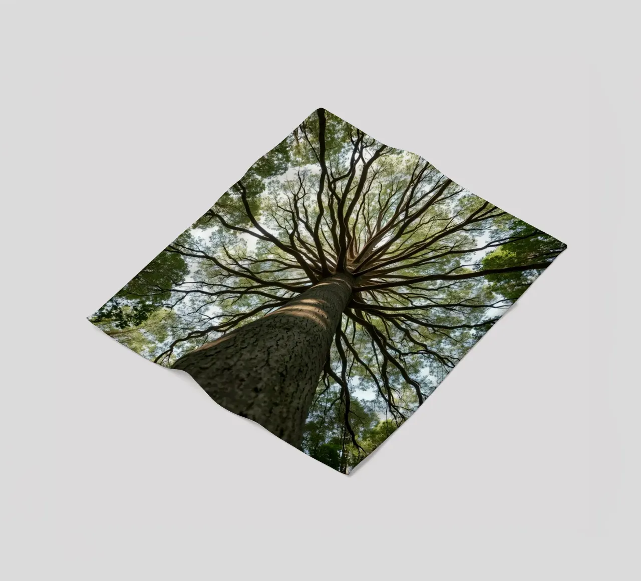 Un albero maestoso che sovrasta la foresta con i suoi rami coperta in pile da DesignDoodle