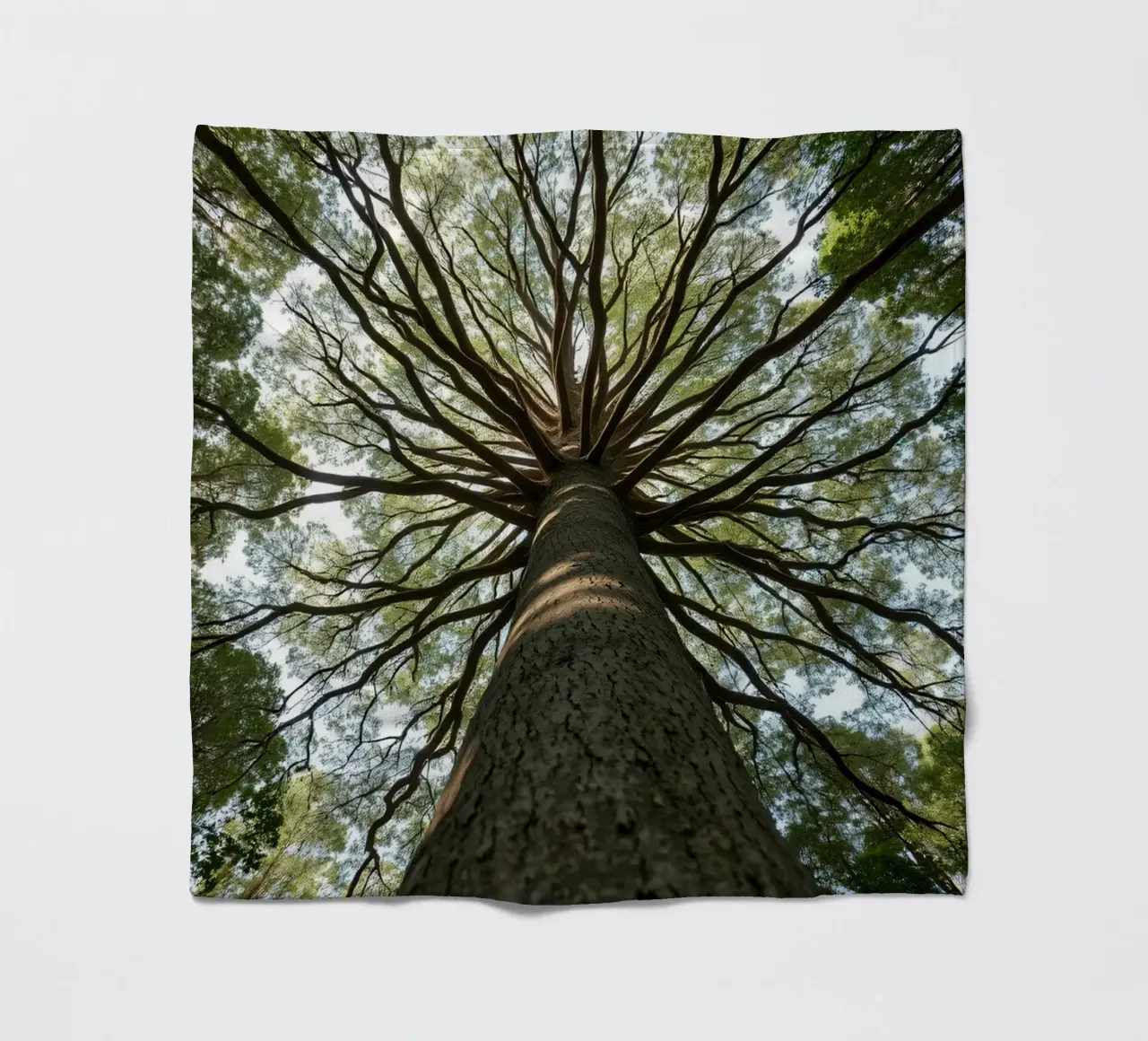 Un albero maestoso che sovrasta la foresta con i suoi rami coperta in pile da DesignDoodle