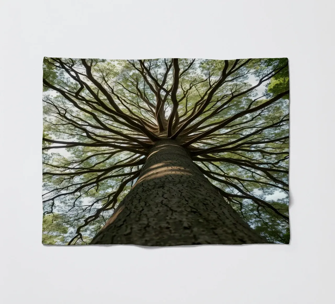 Un albero maestoso che sovrasta la foresta con i suoi rami coperta in pile da DesignDoodle