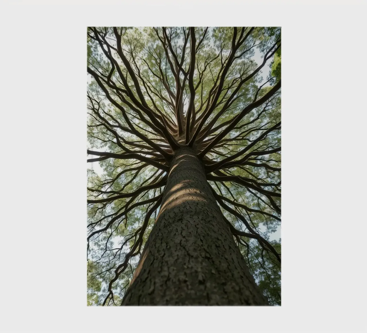 Majestic tree towering over the forest with sprawling branch notebook by DesignDoodle