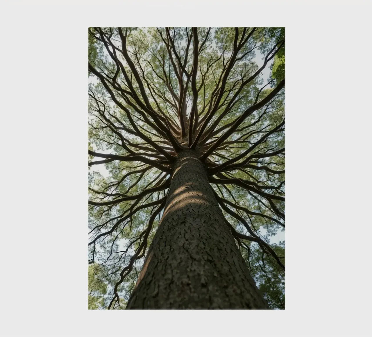 Majestic tree towering over the forest with sprawling branch notebook by DesignDoodle