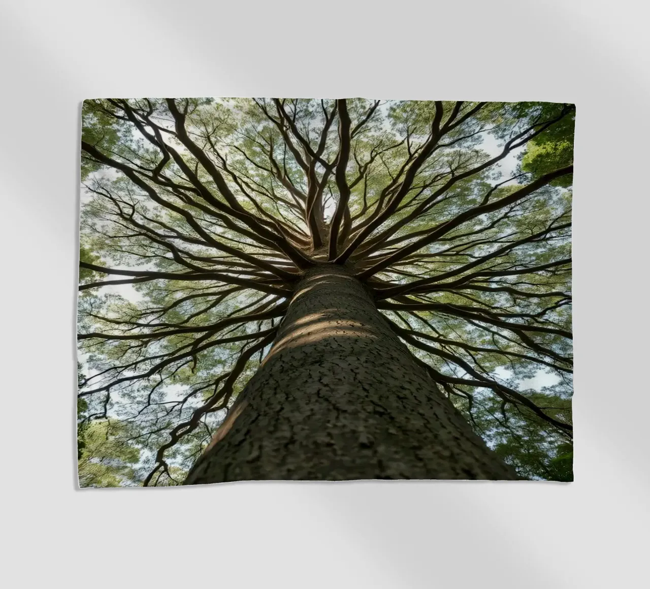 Un albero maestoso che sovrasta la foresta con i suoi rami telo mare da DesignDoodle