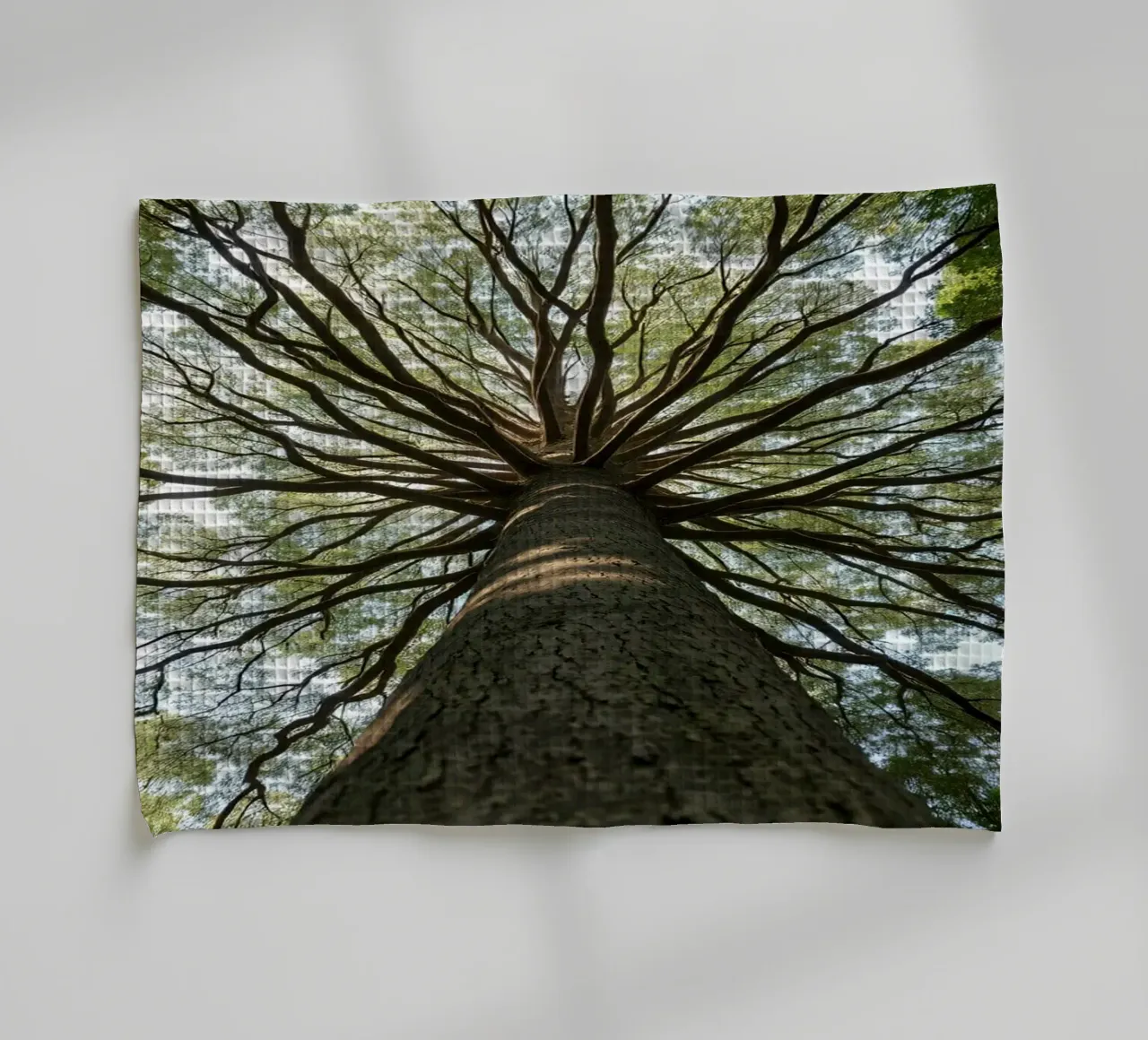 Un albero maestoso che sovrasta la foresta con i suoi rami canovaccio da cucina da DesignDoodle