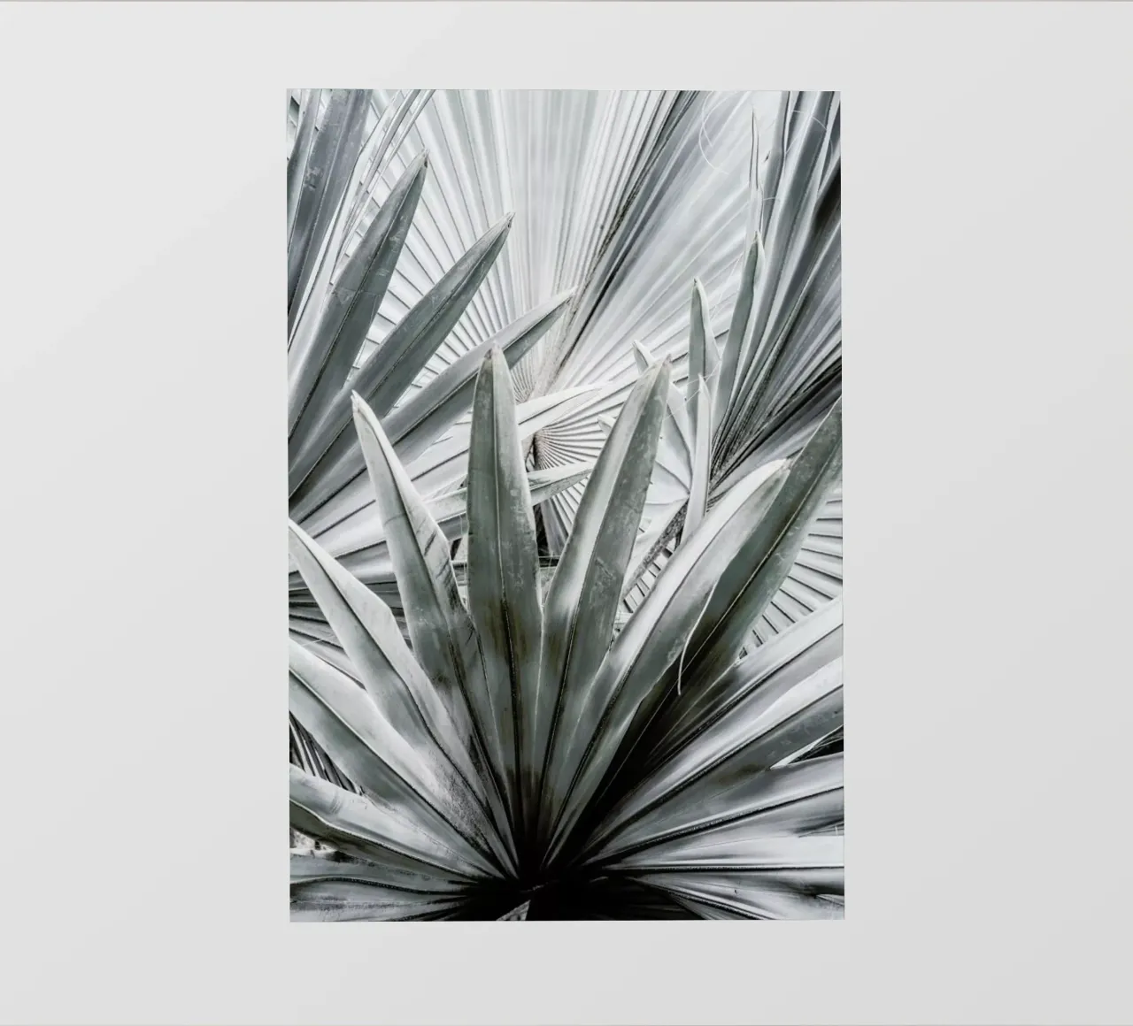 Silver Spray telo in pvc da Shot By Clint