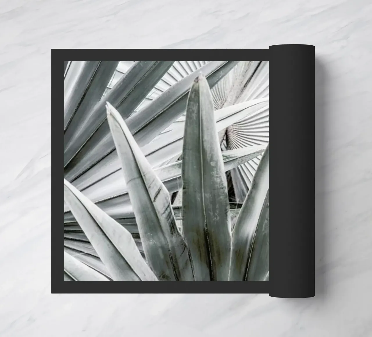 Silver Spray zerbino da Shot By Clint