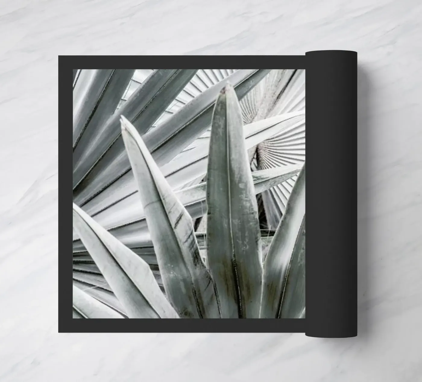 Silver Spray zerbino da Shot By Clint