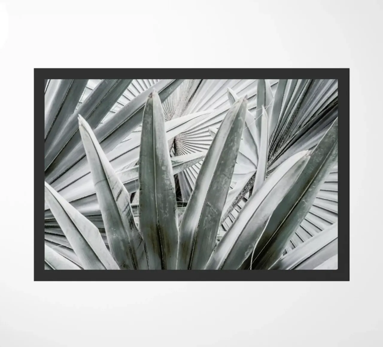 Silver Spray zerbino da Shot By Clint