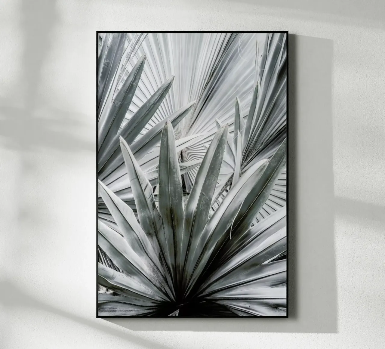 Silver Spray plexiglass da Shot By Clint