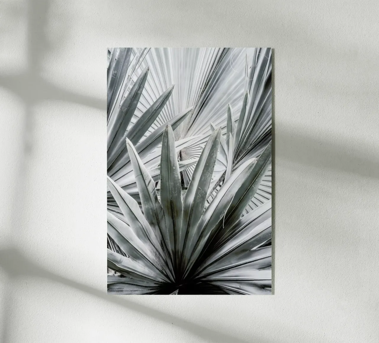 Silver Spray plexiglass da Shot By Clint